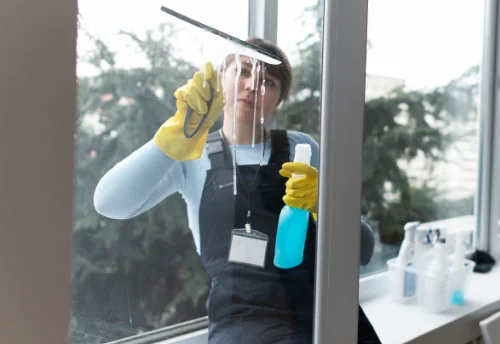 Nettoyage de vitres intérieures et extérieures à Ancelle
